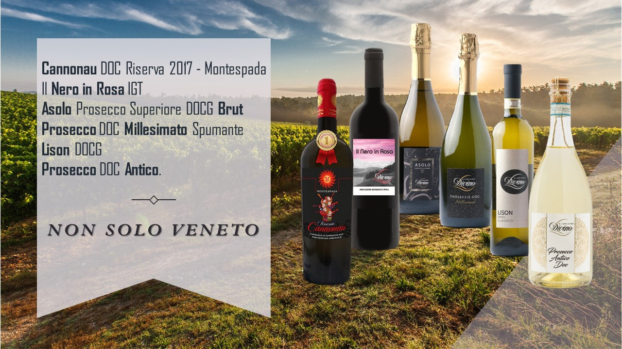 Selezione NON SOLO VENETO